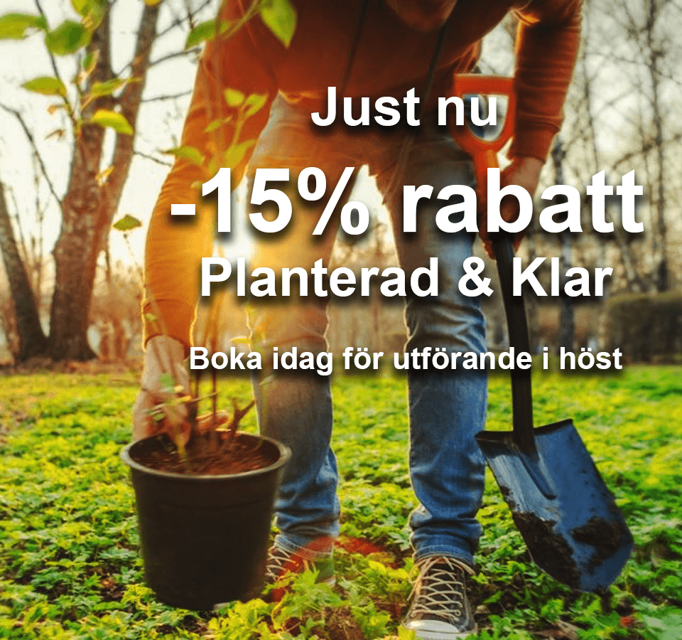 Bli medlem för våra nyhetsbrev