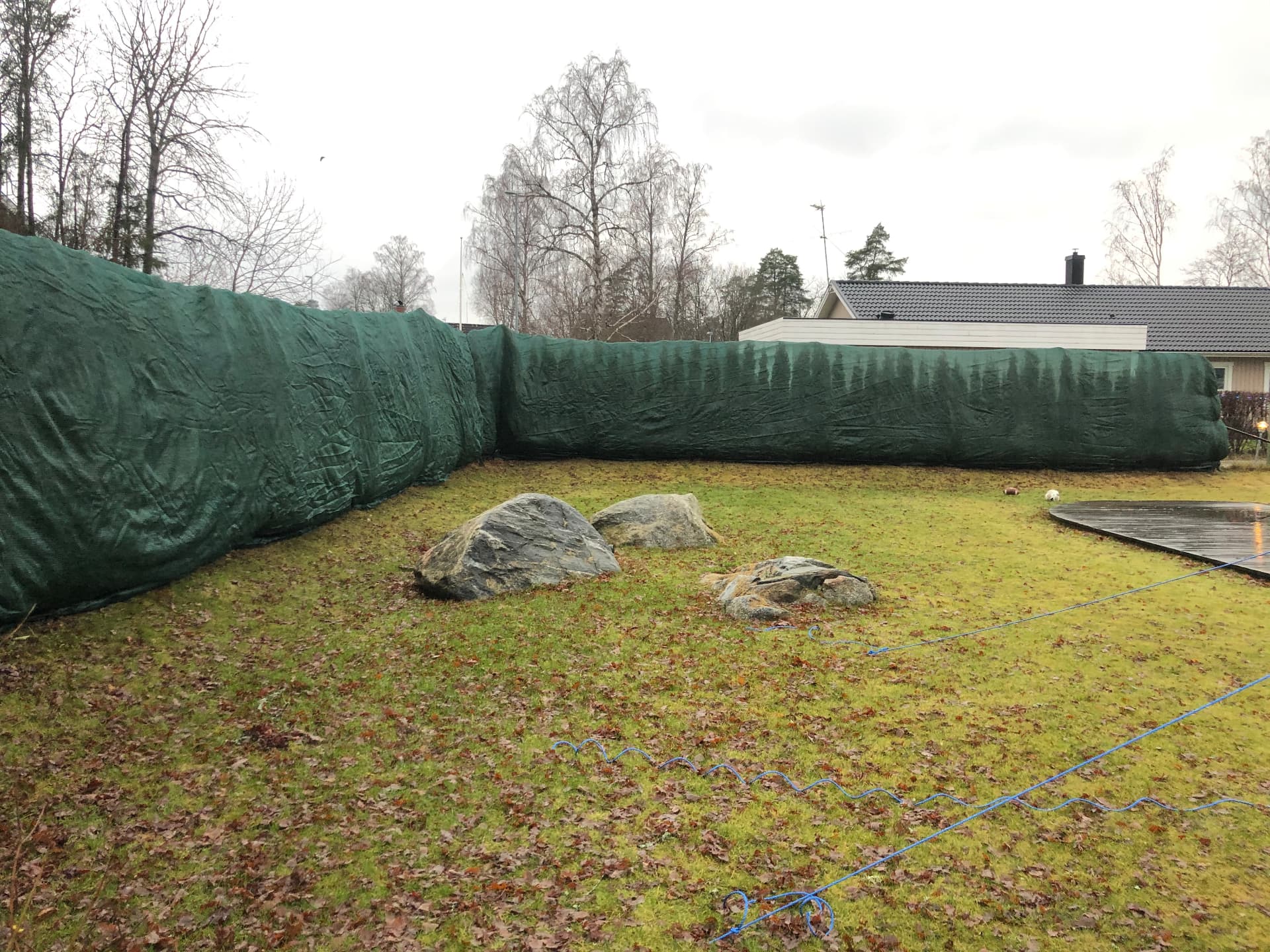 Hyr vintertäckning av häcken