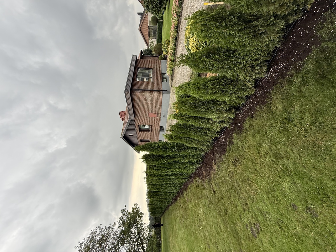 Thuja Smaragd, 180/200 cm, Rotklump, LQ-kvalitet,, Ekeby i Ekeby