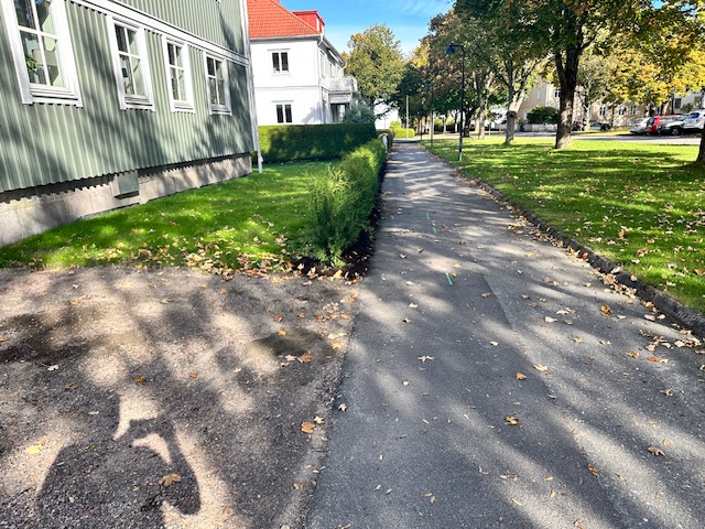 Thuja Brabant 100-120cm, 22 m häck i Alingsås