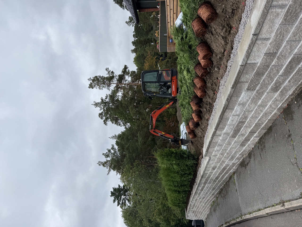 Thuja Brabant 120-140 cm, 42 meter i Norrköping