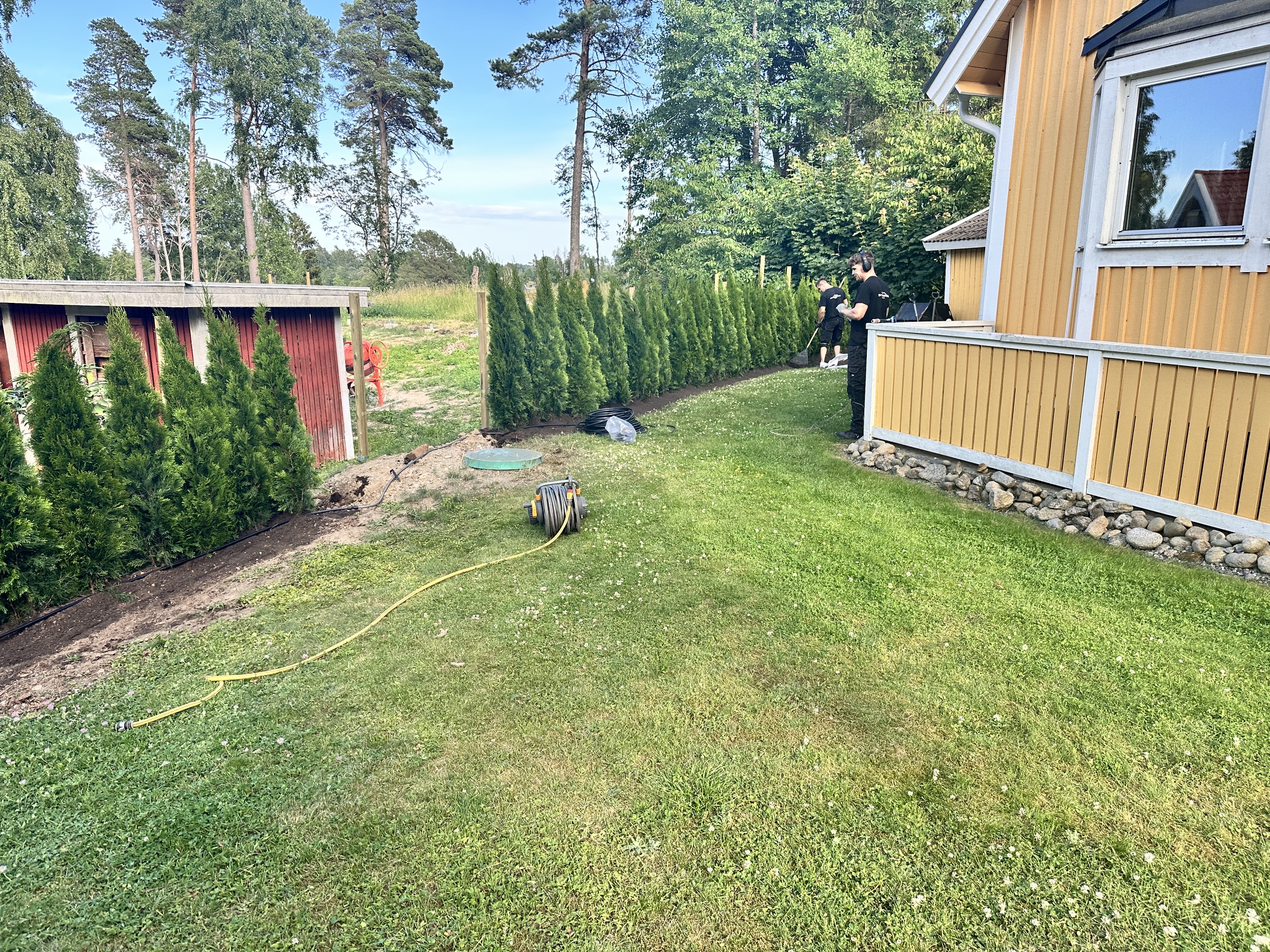 Thuja Smaragd, 160–180 cm, 30 meter i Sorunda