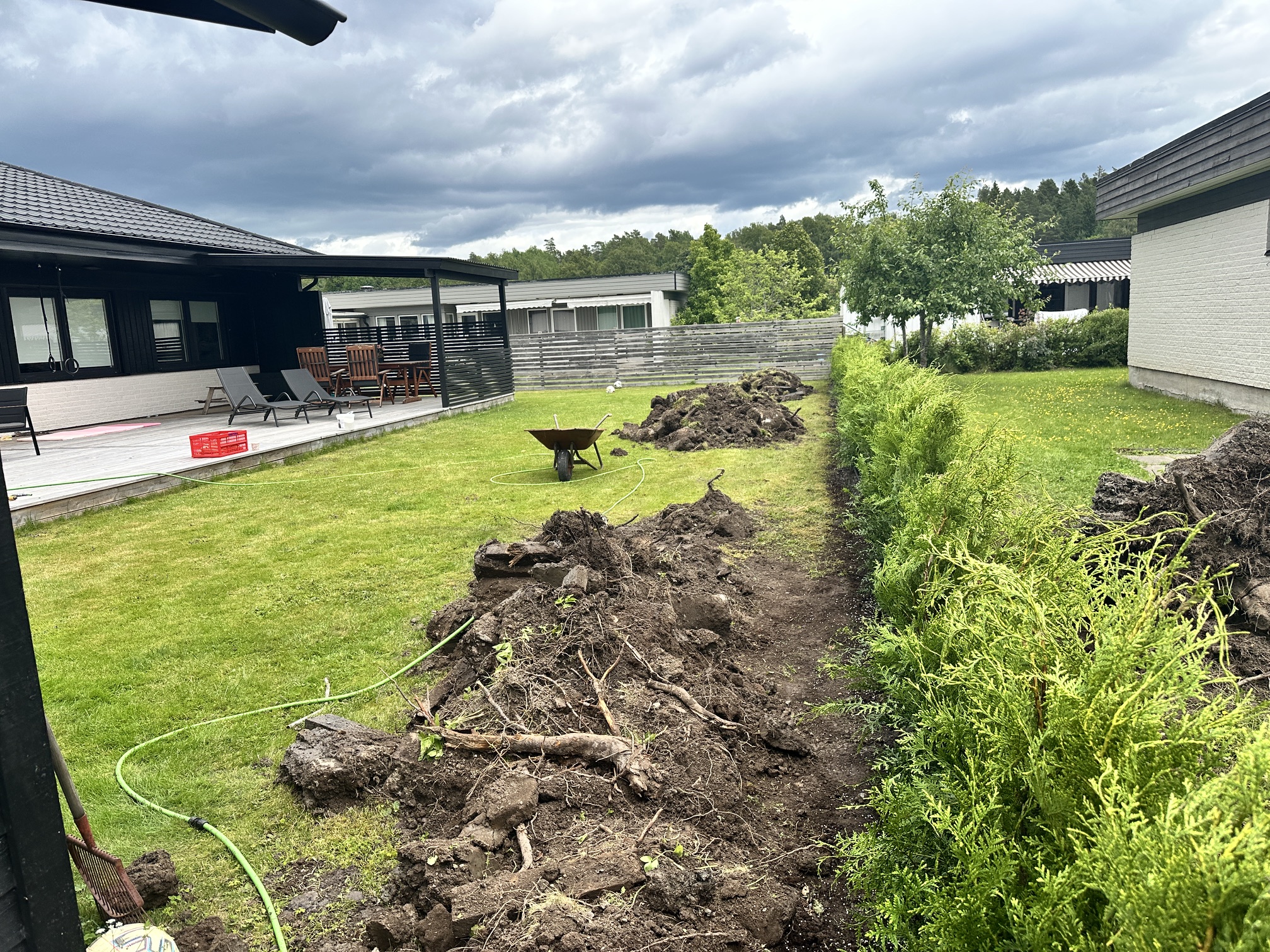 Thuja Brabant 100–120 cm, 23 meter i Västerås