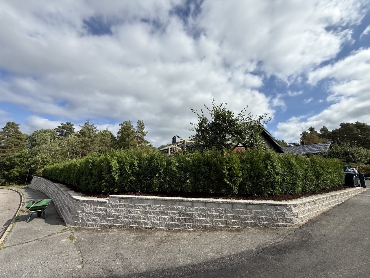 Thuja Brabant 120-140 cm, 42 meter i Norrköping