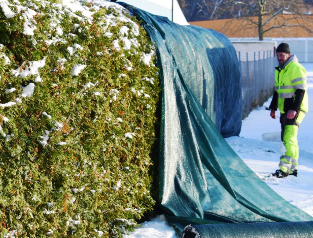 Det Ultimata Vinterskyddet För Växter: Tips Och Tricks