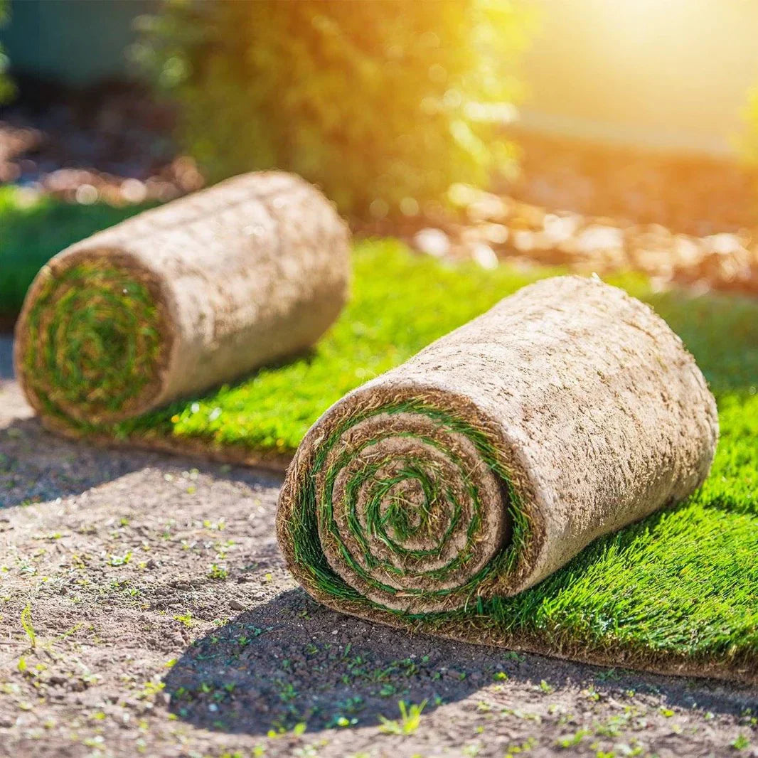 Drömmer du om en perfekt gräsmatta? Så gör du!