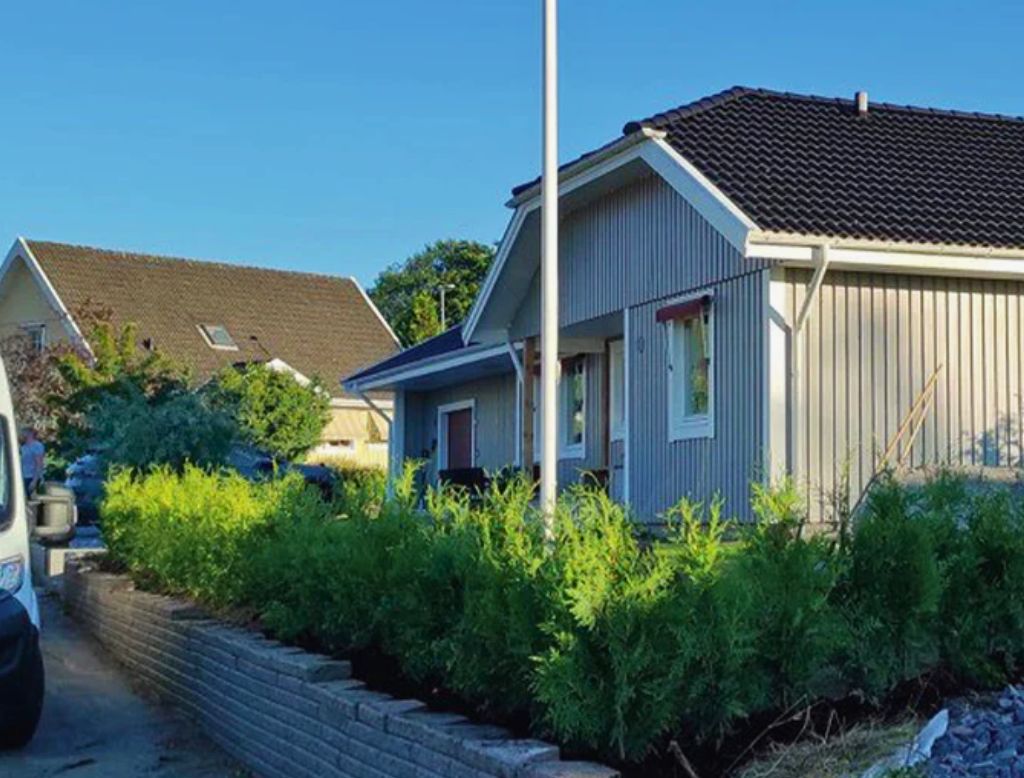 Nyplanterad thujahäck som inramar en modern villa i ett soligt bostadsområde.