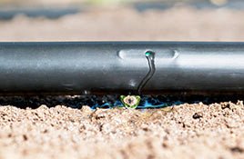 Bevattning för häckar - Eco-Drip system