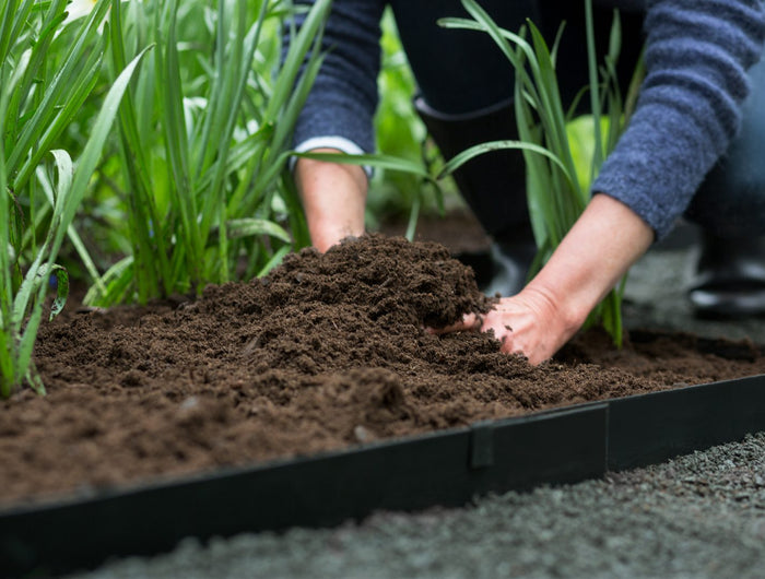 Välj rätt jord för planteringen i trädgården eller rabatten