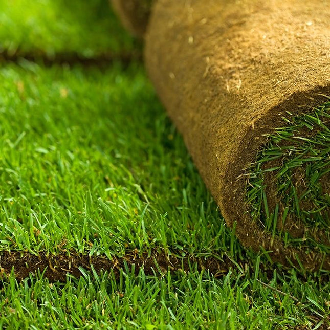 Gräsmatta - Rullgräs - Fraktfritt! 50m2/Pall - Välj antal m225 till 250 m2