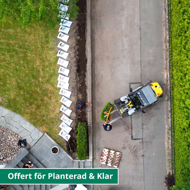 Offert - Planterad och klar