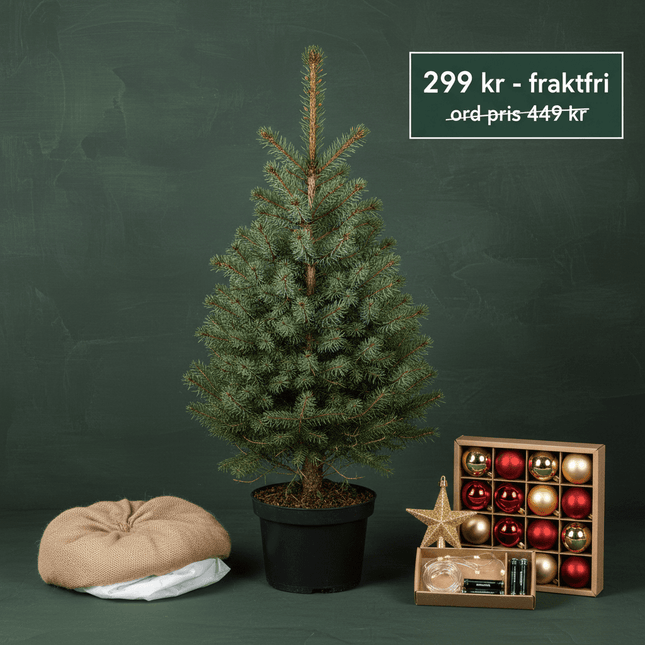 Bordsgran – Komplett Dekorationspaket - Fraktfri